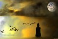 /album/daydreams1/dsc02293b-jpg/