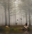 /album/daydreams1/dsc06772b-jpg/